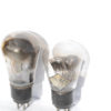R2 Micromesh STC Standard Telephones and Cables black plate balloon rectifiers - Image 6